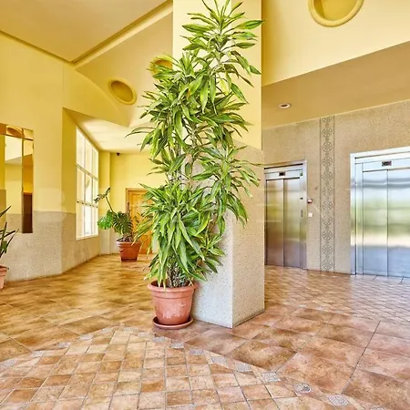 Bitacoras Btcmrv Apartment
